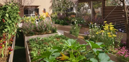 Résidence : Serenly - Cenon