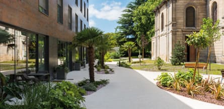 Résidence : EHPAD Terre-Nègre