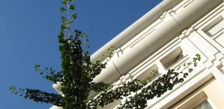 Résidence : Résidence le Pont Saint-Jean