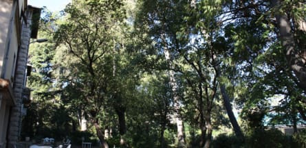 Résidence : EHPAD les Violettes