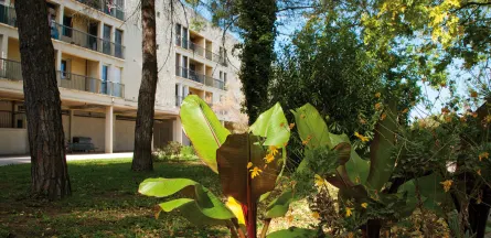 Résidence : EHPAD les Aubes