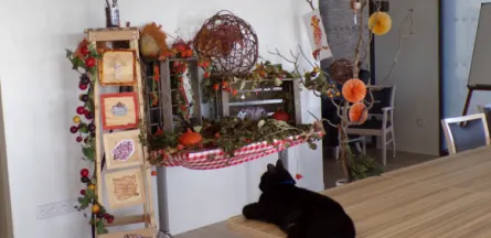 Résidence : EHPAD Maison de Retraite Montfort