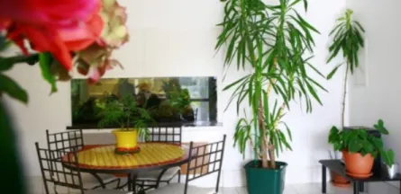 Résidence : Korian Jardins d'Epargnes