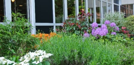 Résidence : EHPAD Résidence Paul-Cordonnier