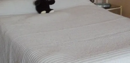 Résidence : Foyer-Logement Gilbert Bailly