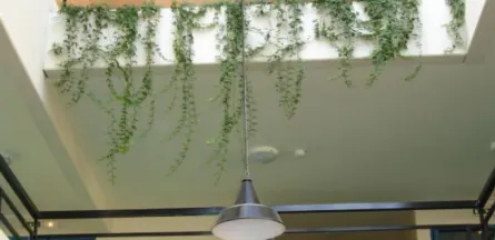 Résidence : Residence Saint Genest