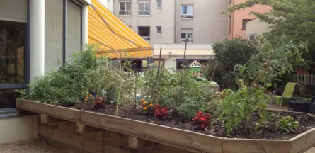 Résidence : Residence les Hibiscus