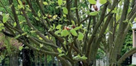 Résidence : Résidence le Verger