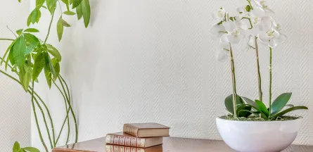 Résidence : Résidence Tiers Temps A Lyon