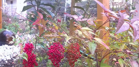 Résidence : Blanqui