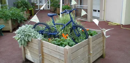 Résidence : EHPAD Fleurs d'Automne