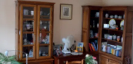 Résidence : EHPAD la Vigerie