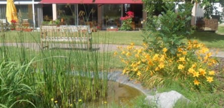 Résidence : EHPAD les Iliades