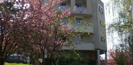 Résidence : EHPAD les Oiseaux