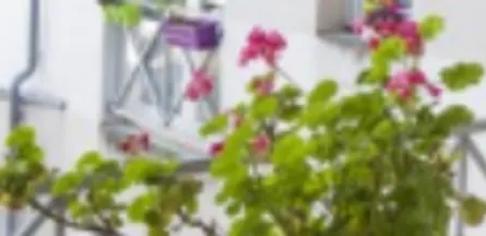 Résidence : Foyer-Logement Résidence Soleil d'Or