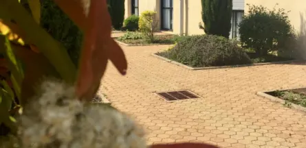 Résidence : Résidence les Cèdres de Paron