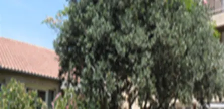 Résidence : Foyer-Logement le Clos de la Jarretiere