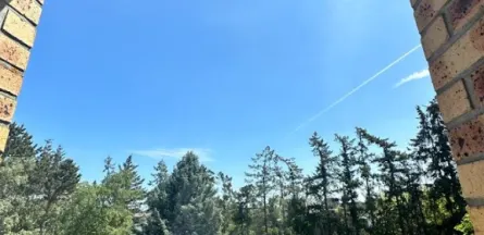 Résidence : Le Bois la Rose