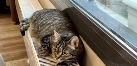 Résidence : La Maison de l'érable Argenté