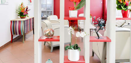 Résidence : Residence Villa Caroline