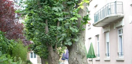 Résidence : EHPAD Sainte-Marthe