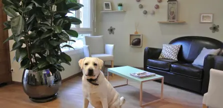 Résidence : EHPAD le Moulin Vert