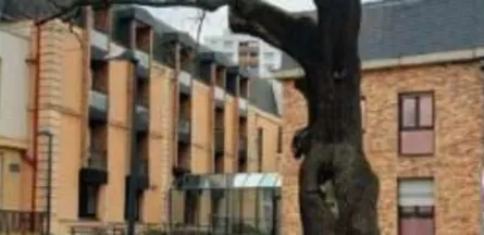 Résidence : Residence Sacré Coeur