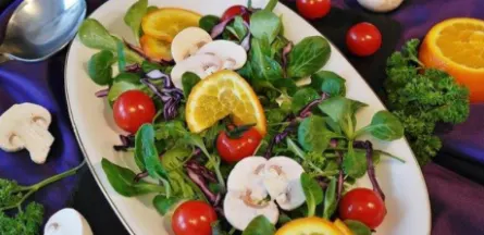 Résidence : EHPAD le Village