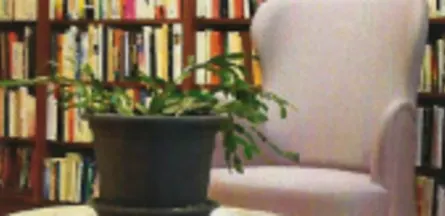 Résidence : Résidence Sainte-Thérèse