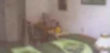 Résidence : EHPAD Résidence les Tilleuls