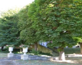 Résidence : Résidence Greffulhe