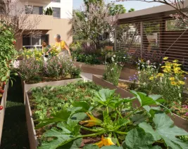 Résidence : Serenly - Cenon