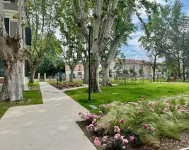 Résidence : Nohée Avignon