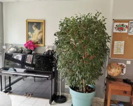 Résidence : EHPAD le Rayon de Soleil