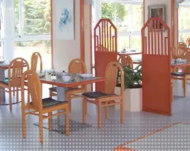 Résidence : EHPAD Larrieu