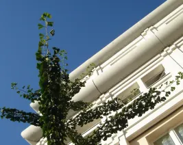 Résidence : Résidence le Pont Saint-Jean