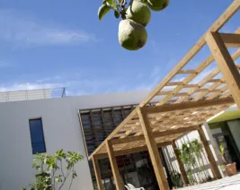 Résidence : EHPAD Françoise Gauffier