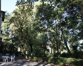 Résidence : EHPAD les Violettes