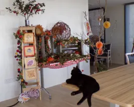 Résidence : EHPAD Maison de Retraite Montfort