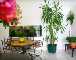 Résidence : Korian Jardins d'Epargnes