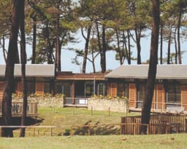 Résidence : L Oeillet des Pins