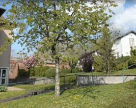 Résidence : EHPAD la Louvière