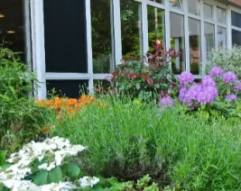 Résidence : EHPAD Résidence Paul-Cordonnier