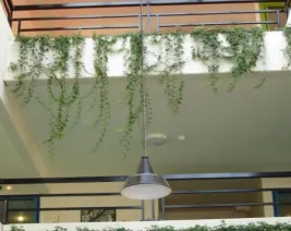 Résidence : Residence Saint Genest