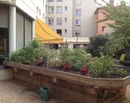 Résidence : Residence les Hibiscus