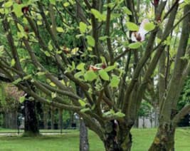 Résidence : Résidence le Verger