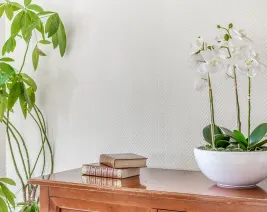 Résidence : Résidence Tiers Temps A Lyon