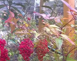 Résidence : Blanqui