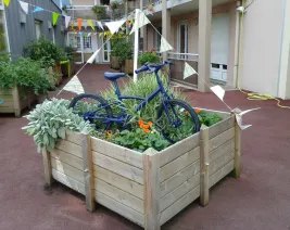 Résidence : EHPAD Fleurs d'Automne