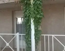 Résidence : Habitat Plus Rive Gauche